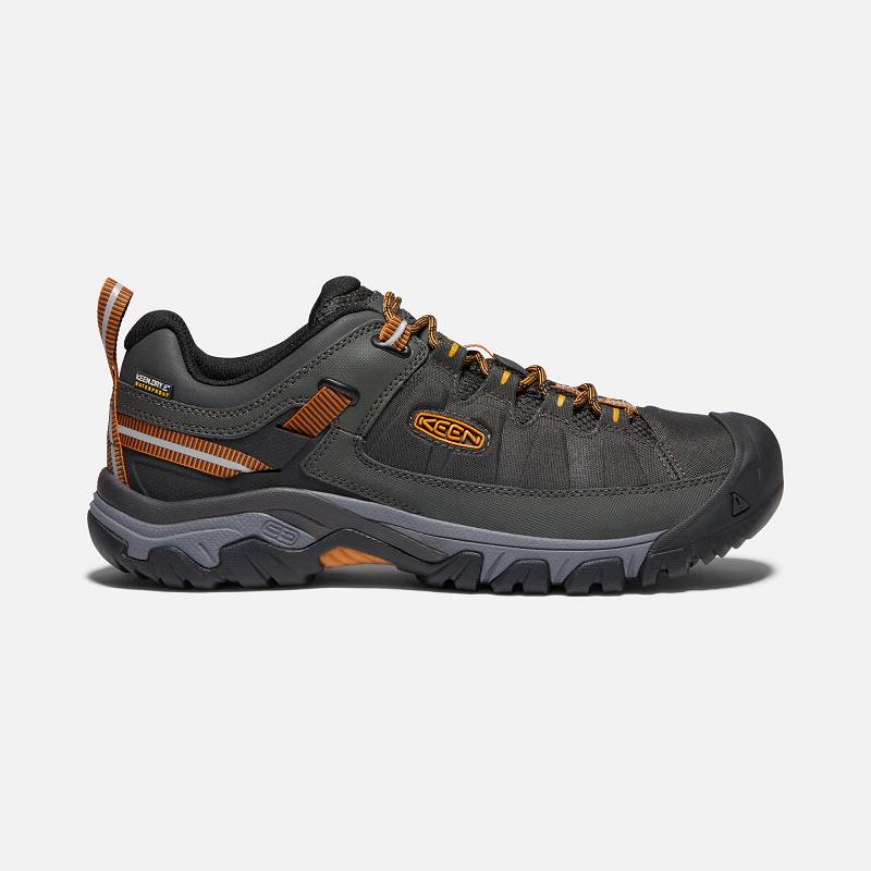 Keen Targhee EXP Waterproof Wanderschuhe Herren DE-62534 Raven/Inca Gold - Keen Herrenschuhe Grün